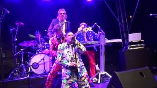 Wild Boys (Show- & Coverband - die wildesten Jungs der Welt) Jahresrückblick 2016