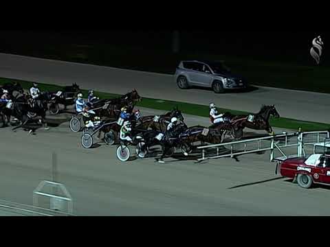 Aversa trotto 20 Novembre 2021 - 5° Corsa