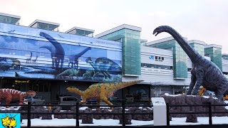 preview picture of video 'JR福井駅前に恐竜　【The Dinosauur appeared in JR Fukui station front.】'