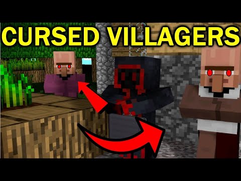 MINECRAFT VILLAGER IS EVIL AND DOES NOT WANT TO COOPERATE