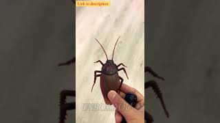 Jouets insectes avec telecommande, cafard, télécommande infrarouge - RC toys