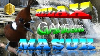 Download lagu MASTERAN SUARA CILILIN GACOR NEMBAK TAJAM JERNIH JEDA AIR mp3 Download lagu MASTERAN SUARA CILILIN GACOR NEMBAK TAJAM JERNIH JEDA AIR mp3