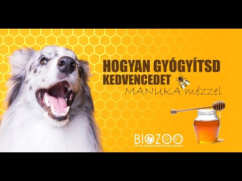 Manuka méz jótékony hatásai kutyáknál, macskáknál | BioZoo.hu