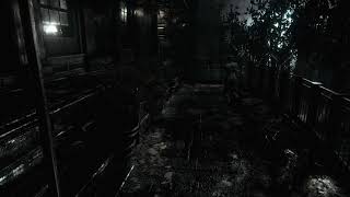 熟女が頑張る！biohazard HD 夏と言えばホラーホラーと言えば熟女 ほぼ初見