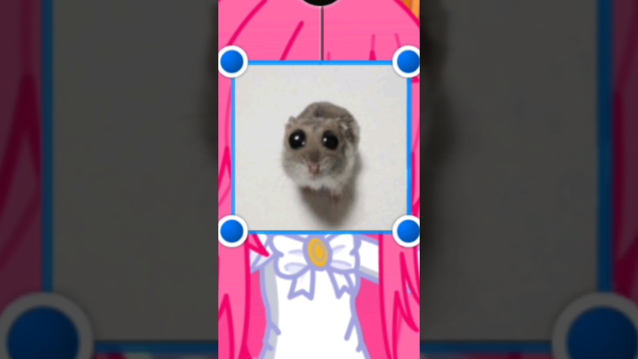 Miazinha Gacha sendo Miauzinha....(Miazinha girando💔)