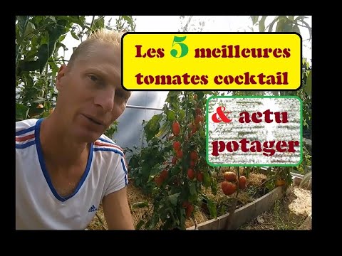 , title : 'top 5 des meilleures tomates cocktail#apéro'