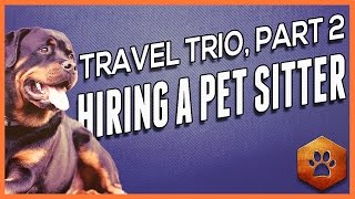 How to Hire a Pet Sitter - Holiday Travel (2 of 3)