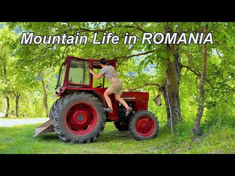 Life on Our 18 Acres Property in the Mountains of ROMANIA 🇷🇴 