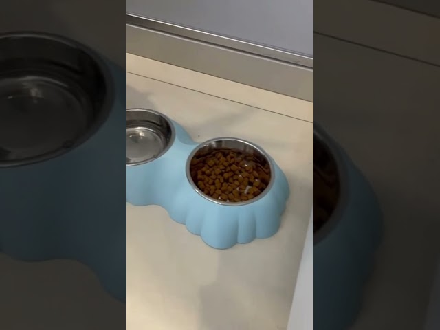 Vídeo relacionado con Aimé Comedero Y Bebedero Doble para Perros Y Gatos con Dos Cuencos Extraíbles y Base Antideslizante y Antiderrames 2X 230 ml
