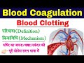 Blood Clotting | Blood Coagulation in Hindi | Mechanism of Blood Coagulation | biology ScienceSK