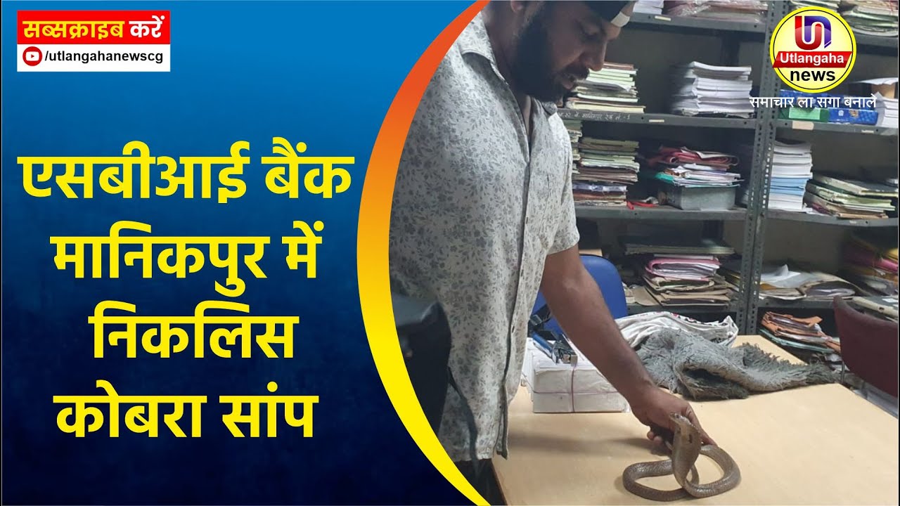 एसबीआई बैंक मानिकपुर में निकलिस कोबरा सांप