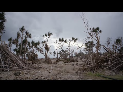 Le Vanuatu dévasté par un cyclone