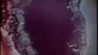 Spindrift "Adavan Diazapan"