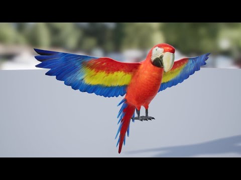 Medhue Parrot in Unreal Engine!!
