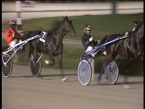 Trotto 25/11/2018 - 8ª corsa