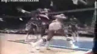 Wilco, Dr. J, w/ Fleet Foxes - I Shall Be Released