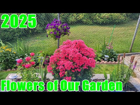 2025 Flowers of Our Garden