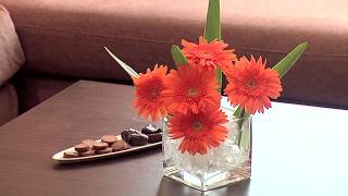 CORP Executive Hotel Apartments, Al Barsha, Dubai, UAE - Unravel Travel TV