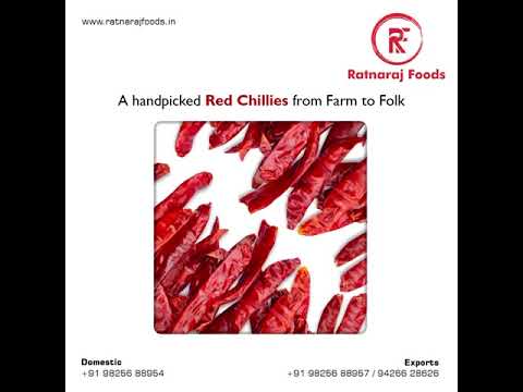 Guntur Dry Red Chilli