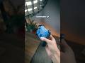 Controller Vs Keyboard Mouse Which Is Best