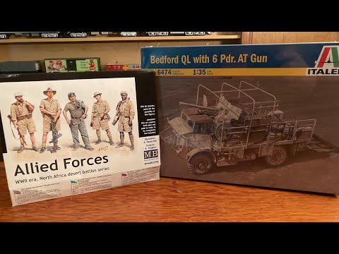 CBD for Cats Video Preview