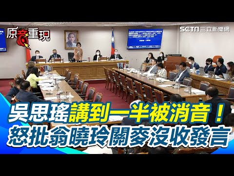 【#原音重現】停砍年金審查翁曉玲停止討論堅持休息 吳思瑤講到一半被消音！ 怒批翁曉玲關麥沒收發言 吳思瑤2度槓：惡習的開始就是翁曉玲｜94要賺錢