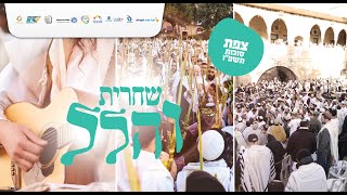 תפילת שחרית והלל בשירה שמחה וכוונת הלב מצפת | הרב שמואל אליהו | חול המועד סוכות תשפ"ו (הרב שמואל אליהו) - התמונה מוצגת ישירות מתוך אתר האינטרנט יוטיוב. זכויות היוצרים בתמונה שייכות ליוצרה. קישור קרדיט למקור התוכן נמצא בתוך דף הסרטון
