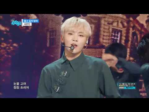 【TVPP】 SEVENTEEN - Don't Wanna Cry, 세븐틴 - 울고 싶지 않아 @ Show Music core