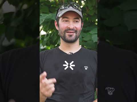 5 Tips on Dog Photography with TheDogist!