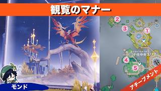 【原神】観覧のマナー【アチーブメント】