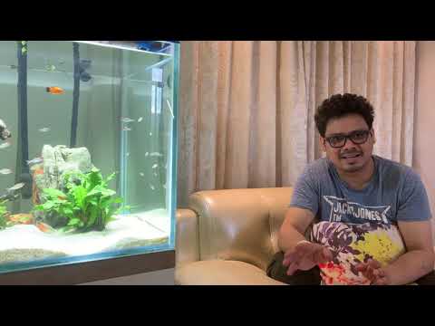 AMITABH JETHU WISHING MEDHANSH on his First BIRTHDAY | 06-07-2020