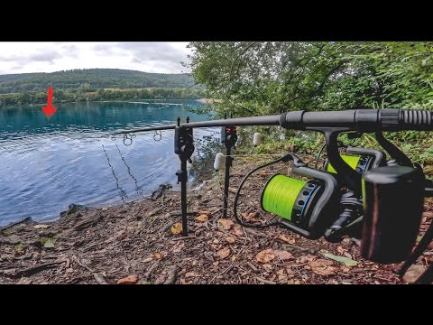 Karpfen Angeln auf 150+ Meter 🚀