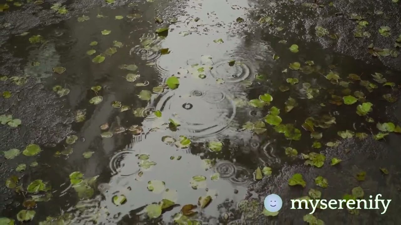 Calm: The #1 App for Meditation and Sleep