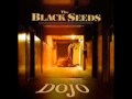The Black Seeds - Got a Girl 