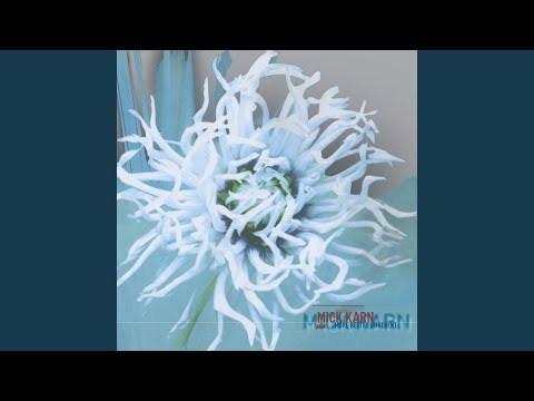 Video thumbnail for Never Thought