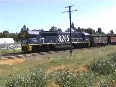 FreightCorp Grain train in Condobolin