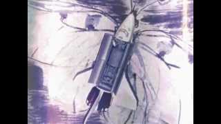 Das Schmetterlingstal   Ein Requiem