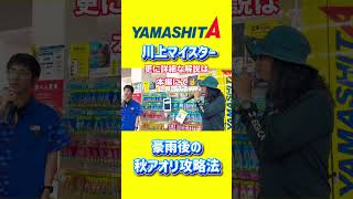 ヤマシタ 川上マイスター：雨後の秋アオリ攻略本