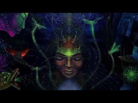 🎼 Reunion ⭐ Marina Raye 🏹 Música Xamânica com Flauta