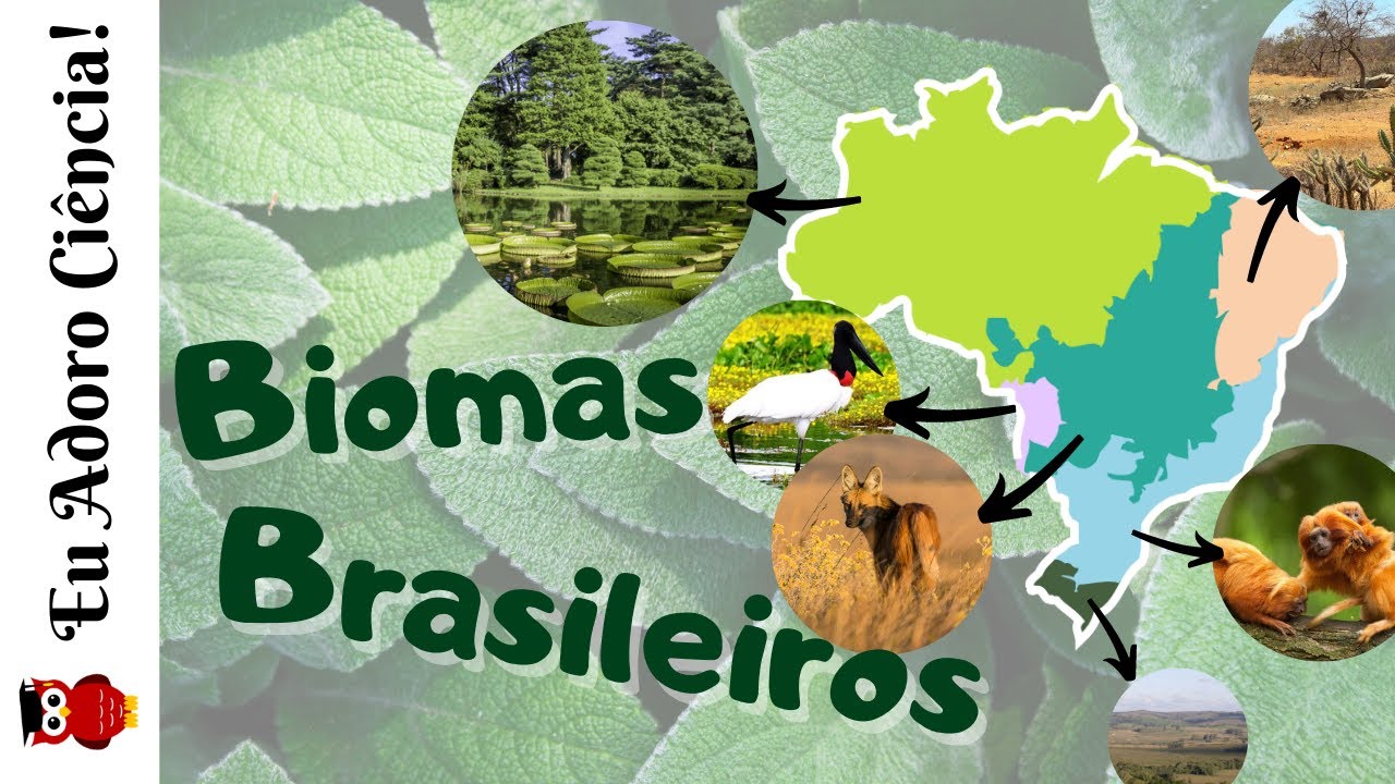 Biomas Brasileiros
