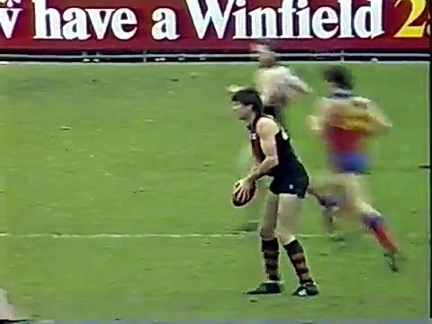 1986 VFL Round 21 Essendon Vs Fitzroy at Windy Hill