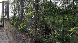 sigilli-all-ex-discarica-fosso-madonna-dell-arco