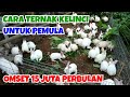 RABBIT FARMING THIS MAN S TURNOVER REACHES 15 MILLION PER MONTH HOW TO RABBIT FARM FOR BEGINNERS
