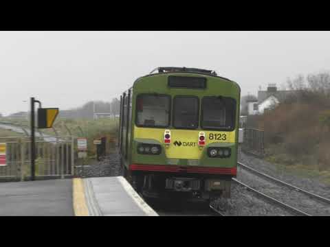 Irish Rail 29000 Class DMU 29005 + DART 8100 Class EMUs 8122 and 8123 - Laytown (7/11/19)