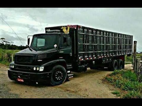 download lagu mp3 mp4 Boiadeiras, download lagu Boiadeiras gratis, unduh video klip Boiadeiras