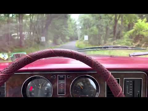 Thumbnail for 1980 Ford Fairmont Ear Bleach by Ford Fairmont, Car