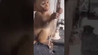 Download lagu mentahan prank buat temen ( VIDEO EXE ) [HD] mp3