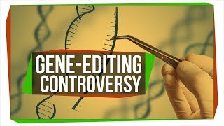 The First Gene-Edited Babies Are Here, Like It or Not | SciShow News