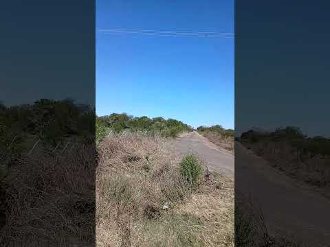 María Grande 2da. Departamento Paraná. Entre Ríos. Parte 16
