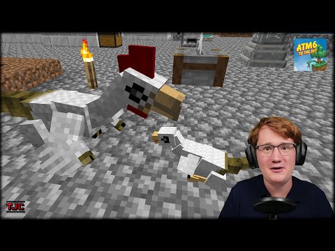 CUTE, but deadly... - ATM6 Ep. 013